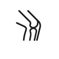 Joint & Ligament Support